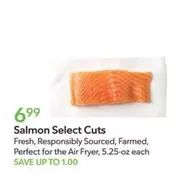 Salmon Select Cuts