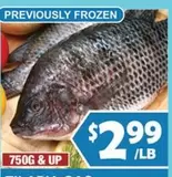 Frozen - Tilapia Fillets