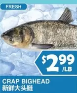 CRAP BIGHEAD