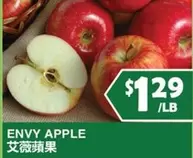 Apple - ENVY APPLE