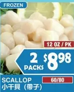 Frozen - SCALLOP