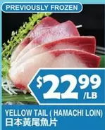 Frozen - YELLOW TAIL (HAMACHI LOIN)