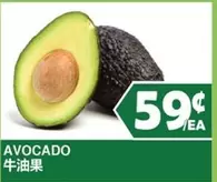 AVOCADO