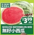 SEEDLESS WATERMELON-MINI