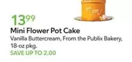 Mini Flower Pot Cake
