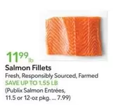 Salmon Fillets