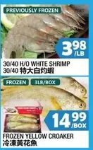 Frozen - 30/40 H/O WHITE SHRIMP
