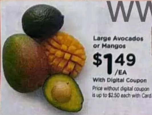 Large Avocados or Mangos