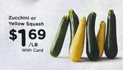 Zucchini or Yellow Squash
