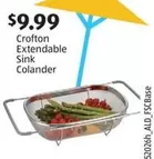 Extendable Sink Colander