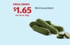 Mini Cucumbers