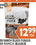 BLACK FUNGUS