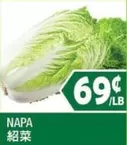 NAPA Cabbage