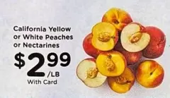 California Yellow or White Peaches or Nectarines