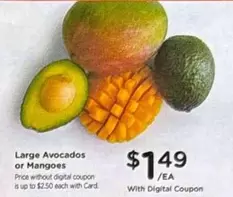 Large Avocados or Mangoes
