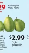 Washington Anjou Pears