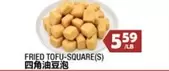 FRIED TOFU-SQUARE(S)
