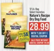 Dry Dog Food