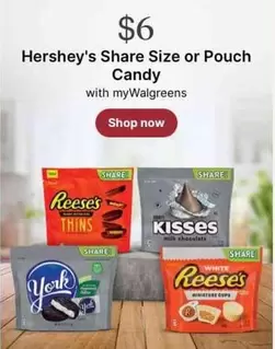 Hershey's - Share Size or Pouch Candy