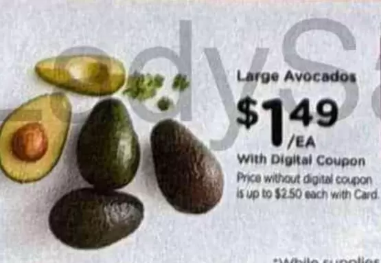 Large Avocados