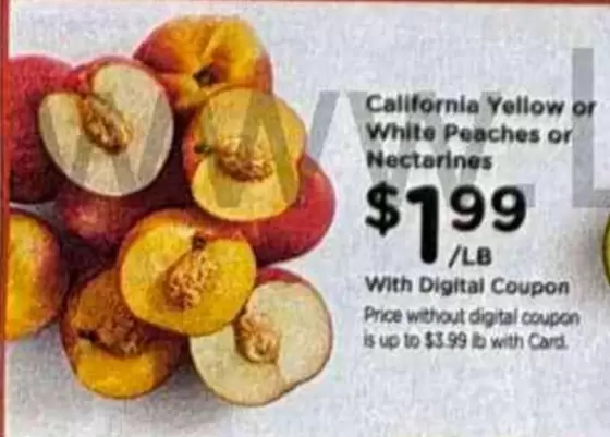 California Yellow or White Peaches or Nectarines