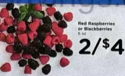 Red Raspberries or Blackberries
