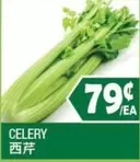 Celery