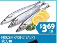 Frozen - FROZEN PACIFIC SAURY