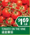 TOMATO ON THE VINE