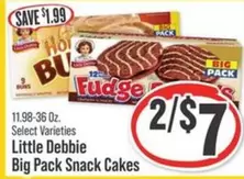 Little Debbie - Big Pack Snack Cakes