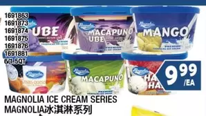Magnolia - ICE CREAM SERIES