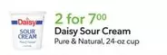 Daisy - Sour Cream