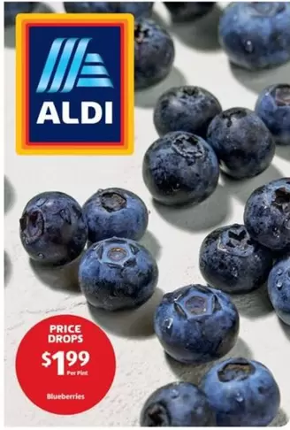 Blueberries