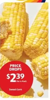 Sweet Corn