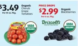 Organic Cherub Grape Tomatoes & Organic Blackberries