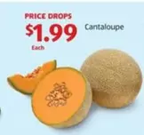 Cantaloupe