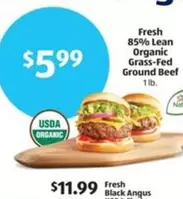 Fresh 85% Lean Organic Grass-Fed Ground Beef
