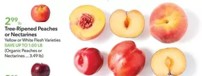 Tree-Ripened Peaches or Nectarines