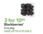 Blackberries