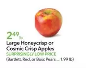 Large Honeycrisp or Cosmic Crisp Apples