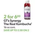 The Real Kombucha