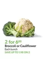 Broccoli or Cauliflower