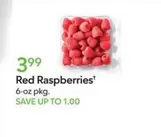 Red Raspberries