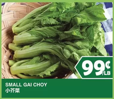 SMALL GAI CHOY