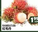 Rambutan