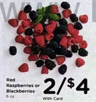 Red Raspberries or Blackberries