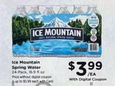 Ice Mountain - Spring Water 24-Pack