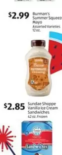 Burman's - Summer Squeeze Mayo