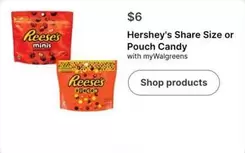 Hershey's - Share Size or Pouch Candy