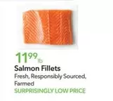 Salmon Fillets